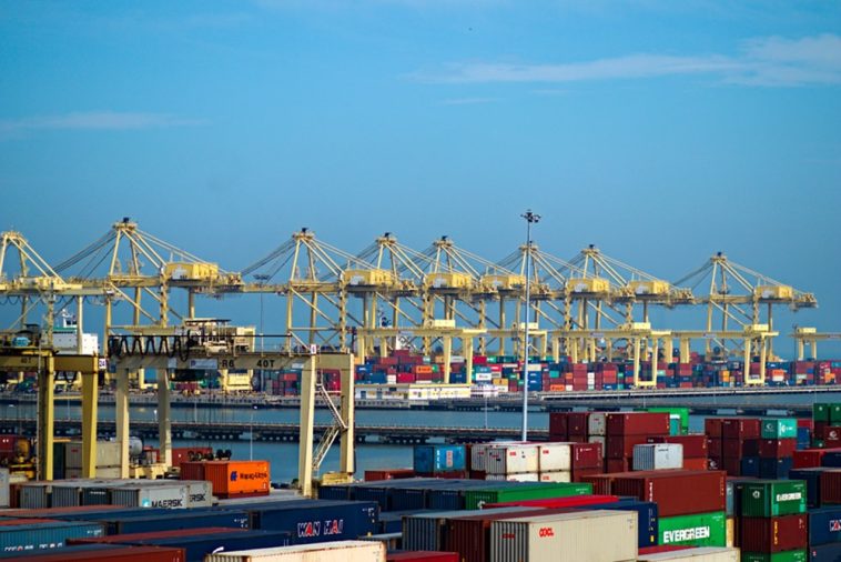 WhatsApp Image 2023 04 26 at 12.47.53 PM