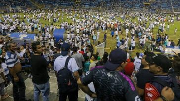 IMG 20230522 081120 6 x 4 inch