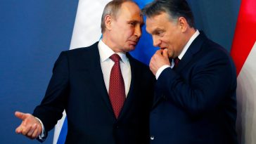 IMG 20230524 012647 6 x 4 inch