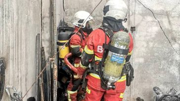 IMG 20230527 094430 6 x 4 inch