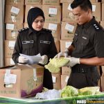 IMG 20230527 115207 6 x 4 inch