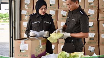 IMG 20230527 115207 6 x 4 inch