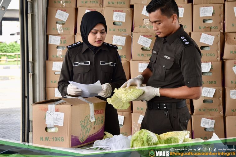 IMG 20230527 115207 6 x 4 inch