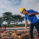 IMG 20230531 081459 6 x 4 inch