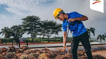 IMG 20230531 081459 6 x 4 inch