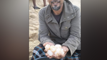 Untitled Facebook Post Landscape