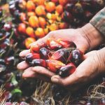 Prestasi industri berasaskan sawit kembali meningkat 9 WhatsApp Image 2023 05 04 at 1.34.29 PM 1