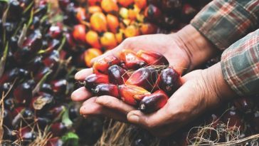 WhatsApp Image 2023 05 04 at 1.34.29 PM 1