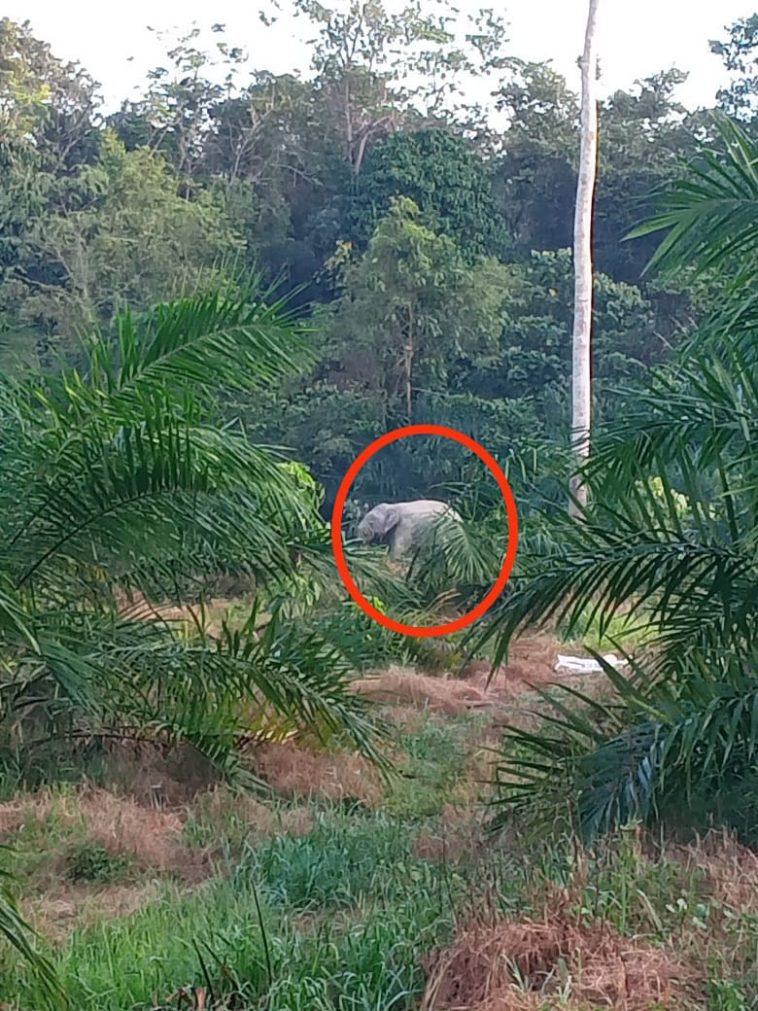 WhatsApp Image 2023 05 06 at 8.50.10 PM