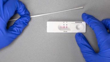 WhatsApp Image 2023 05 08 at 1.46.55 PM