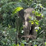 WhatsApp Image 2023 05 09 at 6.23.41 PM