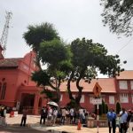 WhatsApp Image 2023 05 12 at 3.09.39 PM 1