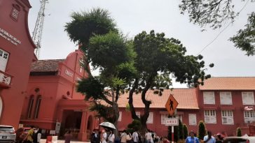 WhatsApp Image 2023 05 12 at 3.09.39 PM 1