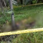 WhatsApp Image 2023 05 24 at 4.26.03 PM