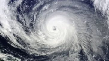 mochataufan 1683792673