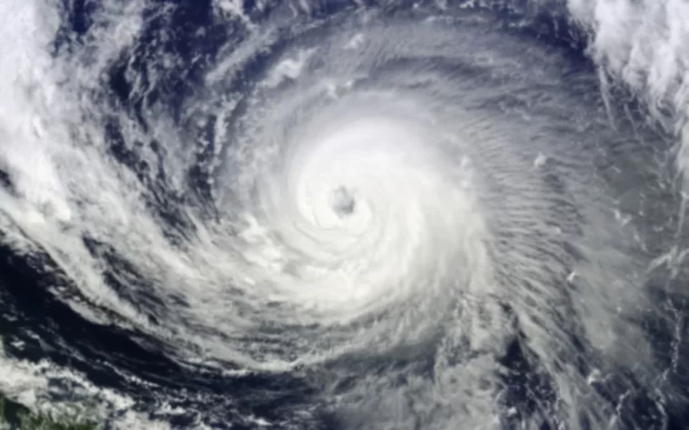 mochataufan 1683792673