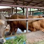 341266328 1276275783322529 5343845094067841031 n