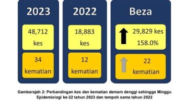 353447105 650764330418907 2496814610962277538 n