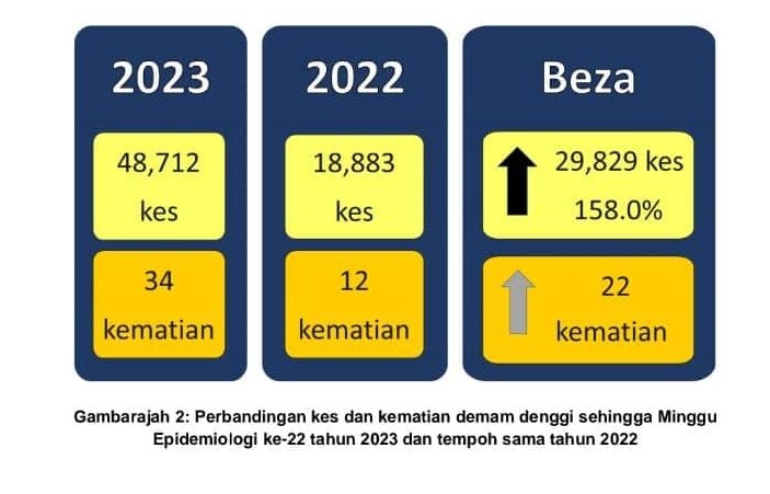 353447105 650764330418907 2496814610962277538 n