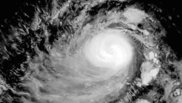 HM2505tau 1684983589