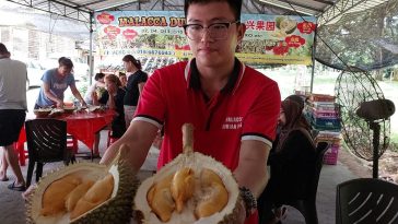 IMG 20230603 094458 6 x 4 inch