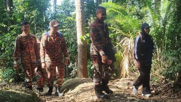 IMG 20230603 115459 6 x 4 inch