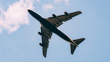 IMG 20230606 080558 6 x 4 inch