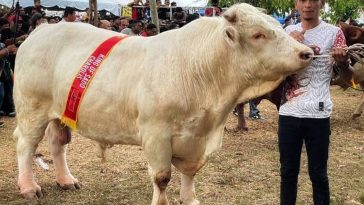 IMG 20230608 082740 6 x 4 inch