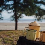 IMG 20230610 151531 6 x 4 inch