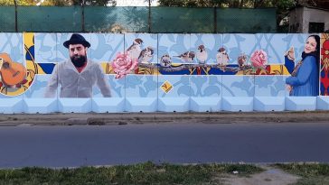 IMG 20230613 103101 800 x 500 pixel