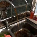 IMG 20230616 193153 800 x 500 pixel