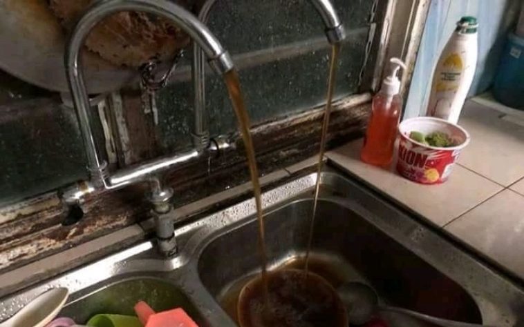 IMG 20230616 193153 800 x 500 pixel