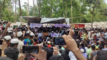 IMG 20230617 113414 800 x 500 pixel