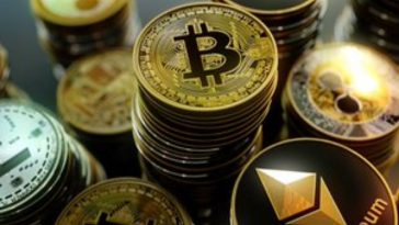 IMG 20230618 103454 800 x 500 pixel