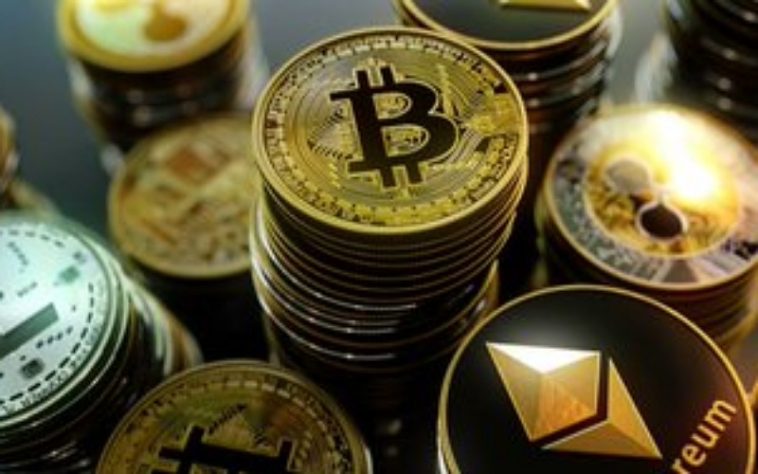 IMG 20230618 103454 800 x 500 pixel