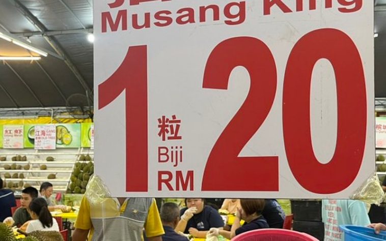 IMG 20230618 204722 800 x 500 pixel