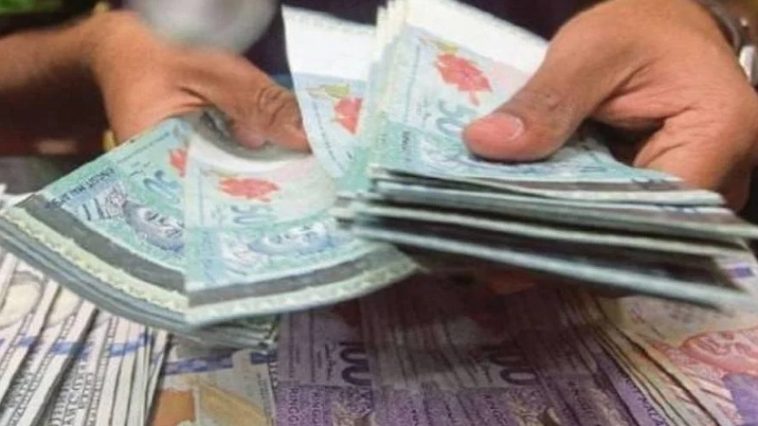 IMG 20230619 102823 800 x 500 pixel