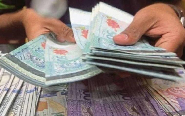 IMG 20230619 102823 800 x 500 pixel