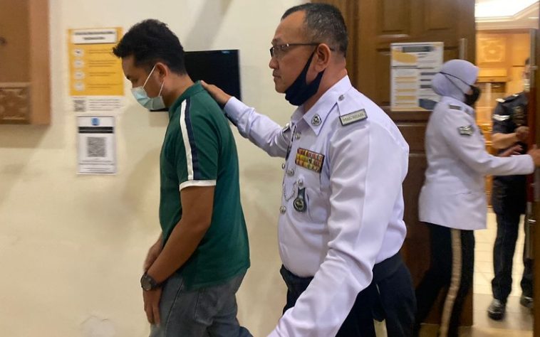 IMG 20230620 110600 800 x 500 pixel