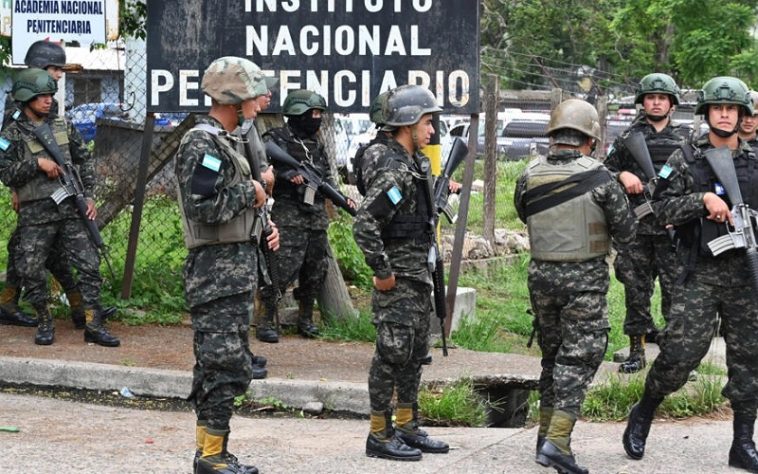 IMG 20230621 102439 800 x 500 pixel