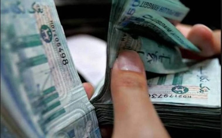 IMG 20230623 014429 800 x 500 pixel