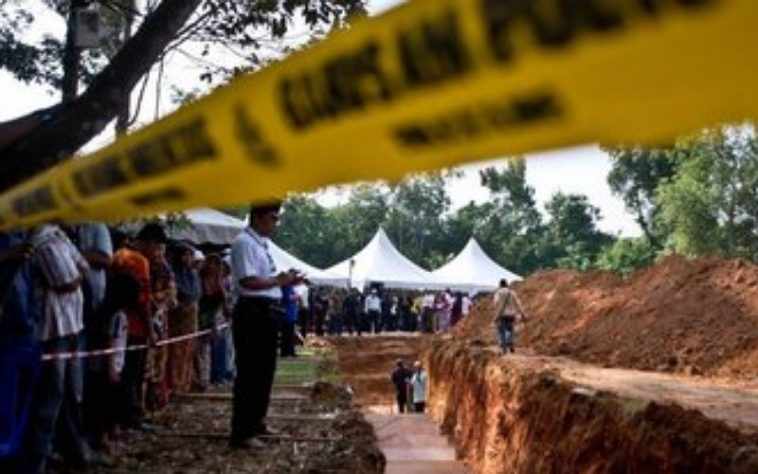 IMG 20230623 093253 800 x 500 pixel