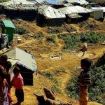 IMG 20230623 093320 800 x 500 pixel