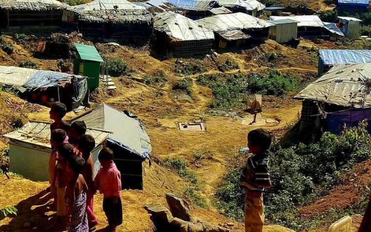 IMG 20230623 093320 800 x 500 pixel