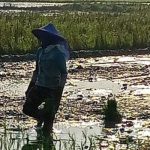 IMG 20230624 084139 800 x 500 pixel