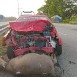 IMG 20230628 130939 800 x 500 pixel