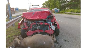 IMG 20230628 130939 800 x 500 pixel