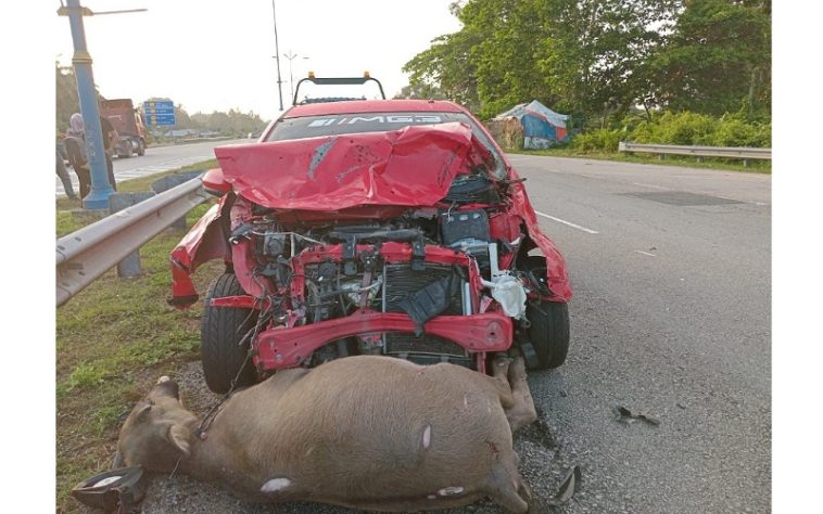 IMG 20230628 130939 800 x 500 pixel