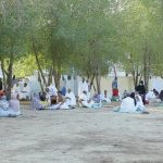 IMG 20230629 095923 800 x 500 pixel