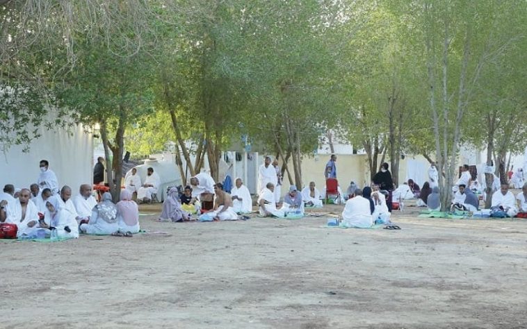 IMG 20230629 095923 800 x 500 pixel